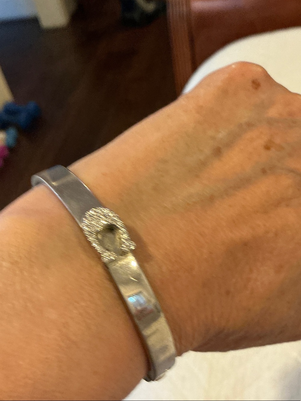 Coach Silver Pavé Horsebit Bangle Bracelet - Silver